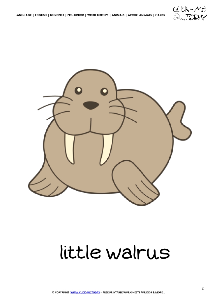 Printable Arctic Animal Little Walrus wall card -  Walrus flashcard