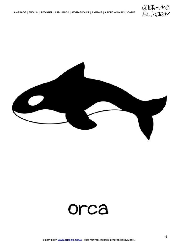 Printable Arctic Animal Orca wall card - Orca flashcard