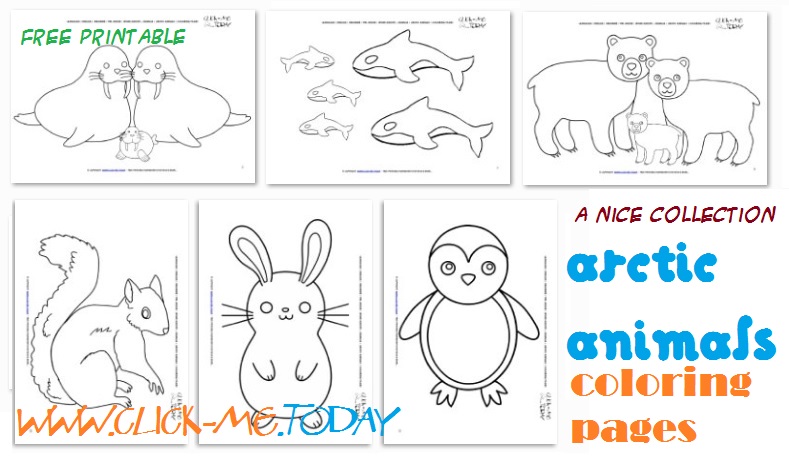 Arctic Animals Free Printable coloring pages