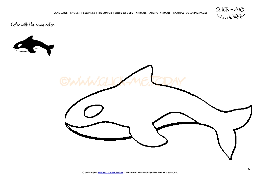 Example coloring page Orca - Color picture of Orca
