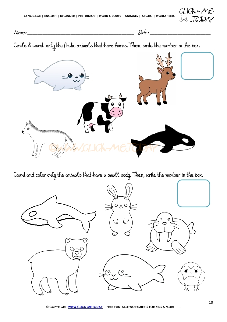 Arctic Animals Worksheet - Activity sheet  Count 5