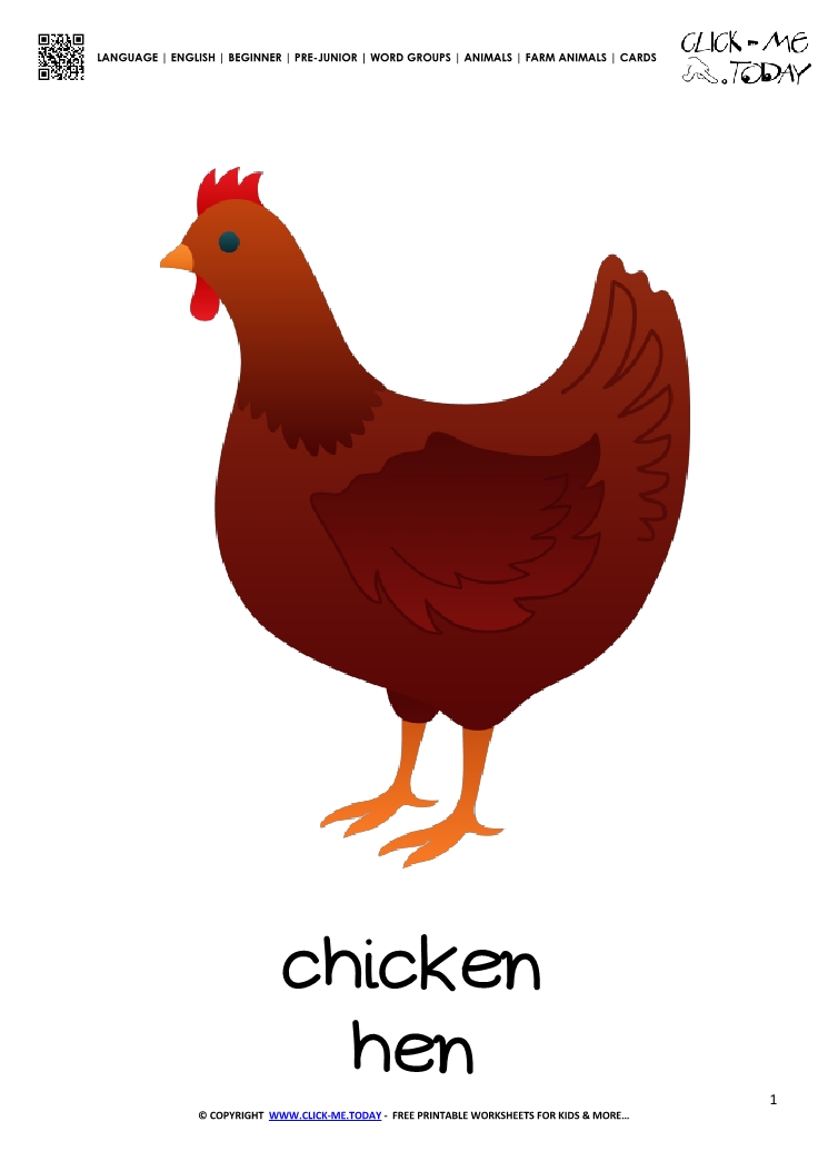 Farm animal flashcard Hen Card of Hen
