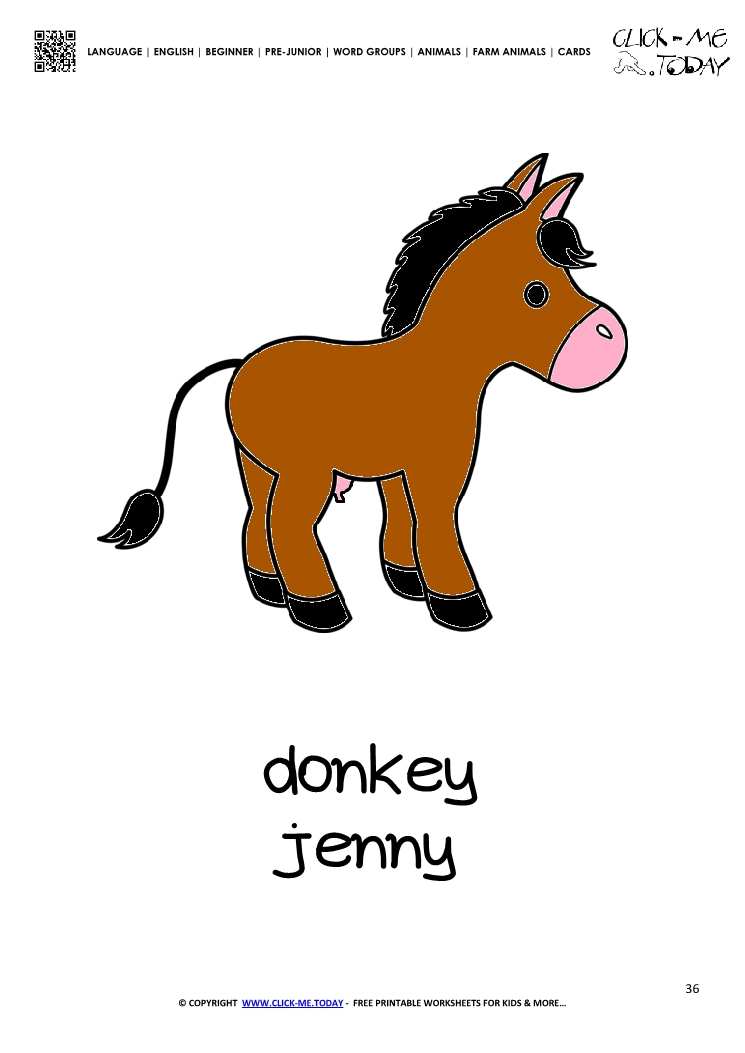 Farm animal flashcard Donkey Jenny Card of Donkey