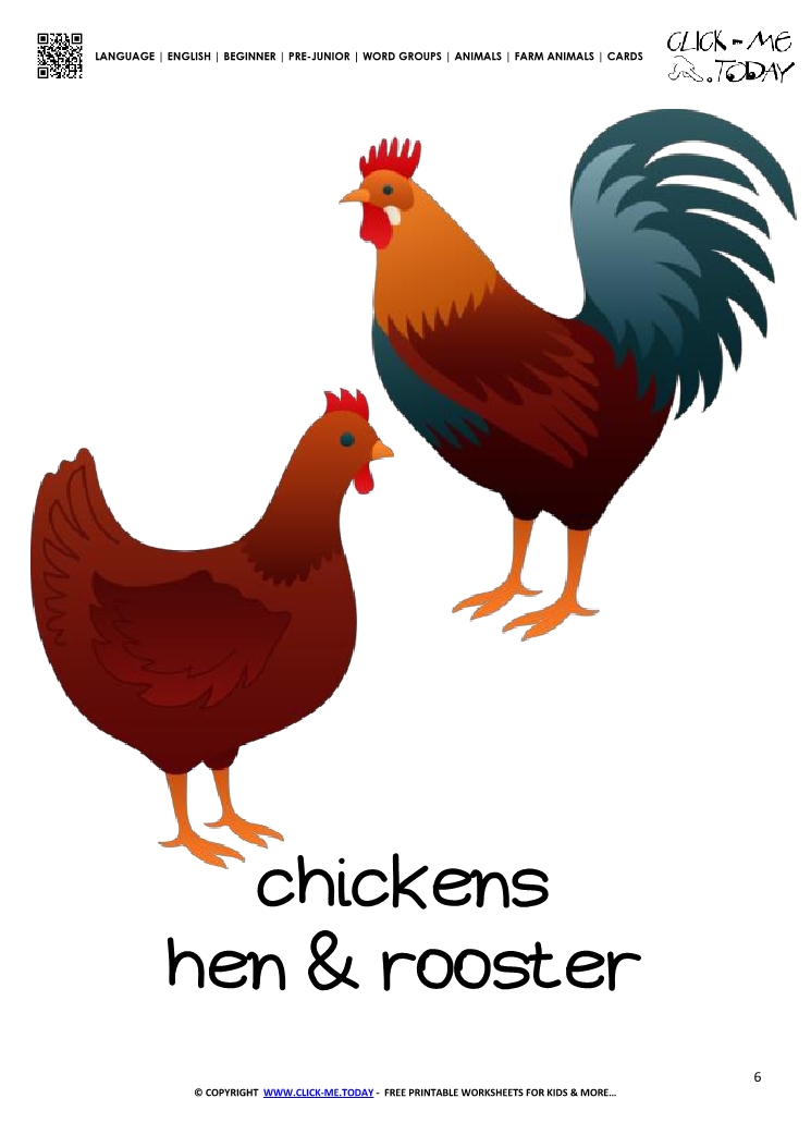 Farm animal flashcard Hens Card of Hens