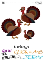 Farm animal flashcards Turkeys Card of Turkeys