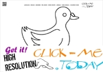 Coloring page Duck Drake - Color picture of Duck