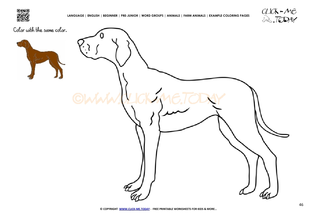 Example coloring page Dog - Color picture of Dog