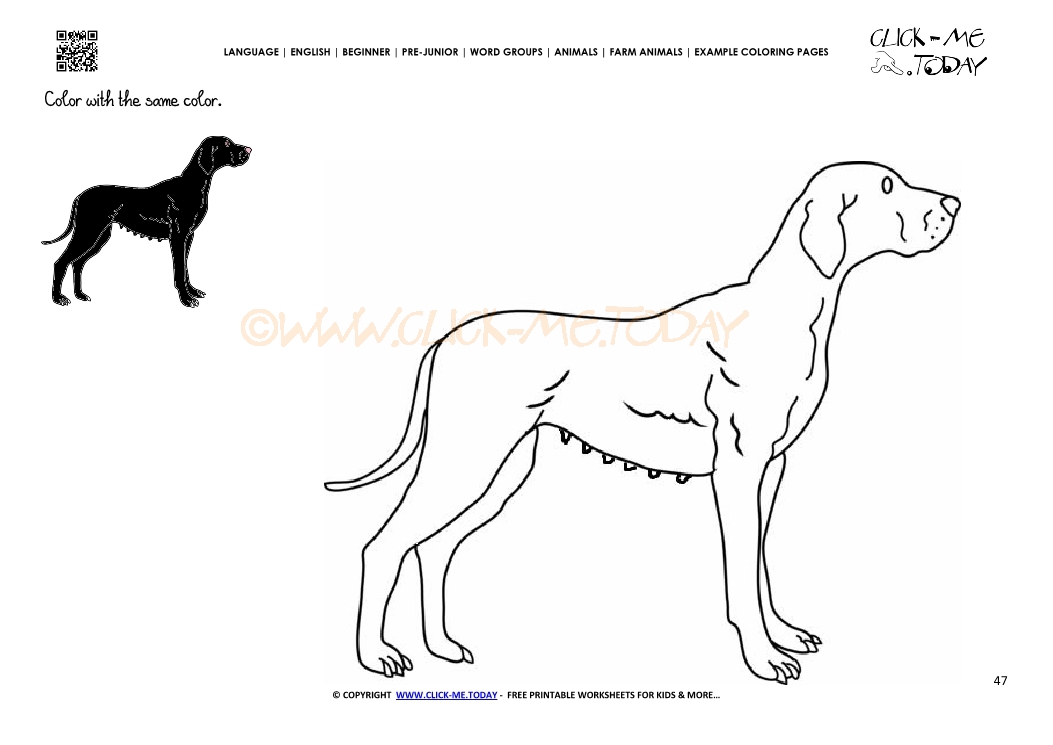 Example coloring page Dog Bitch - Color picture of Dog