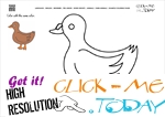 Example Coloring page Duck Drake - Color picture of Duck