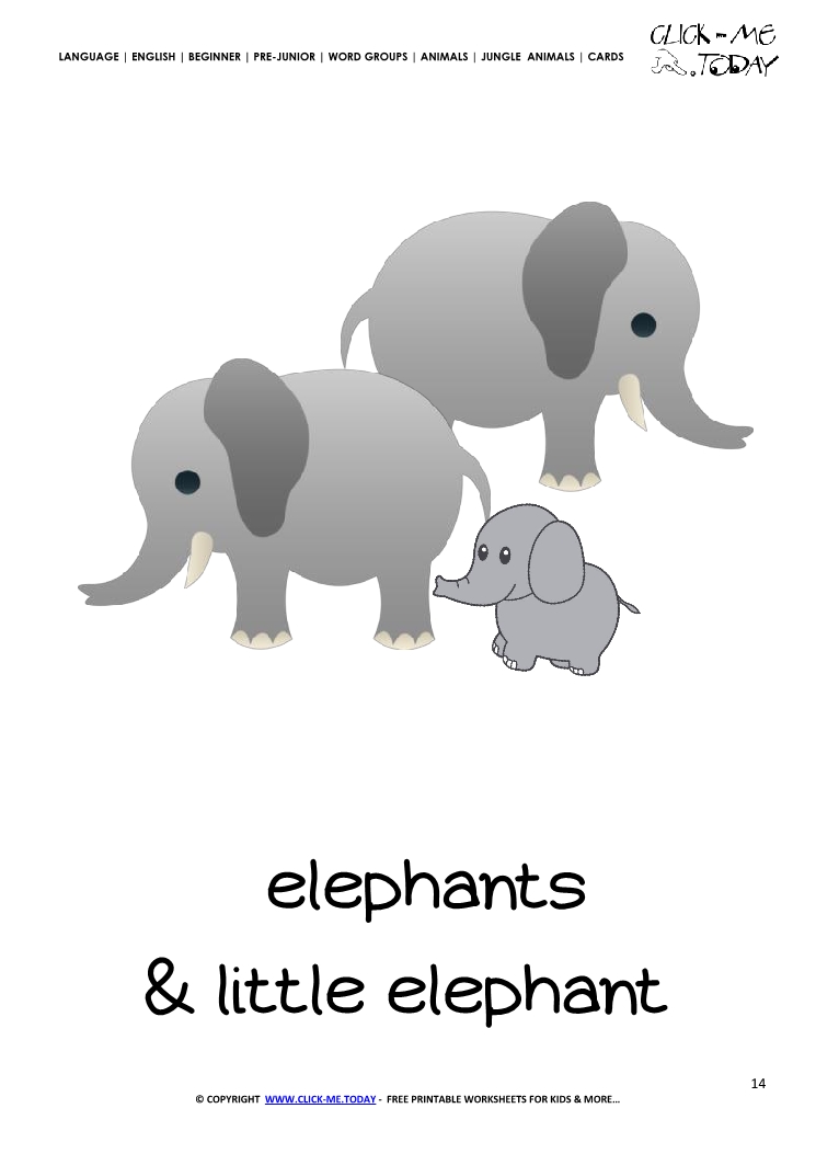 Jungle animal flashcard Elephants - Printable card of Elephants