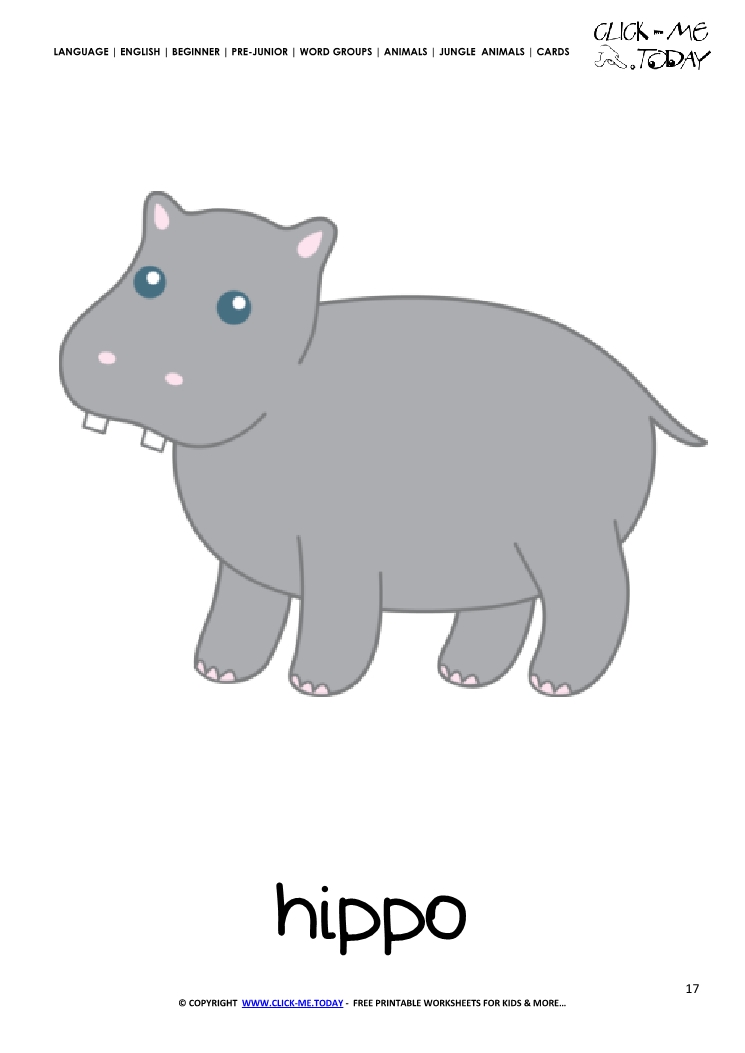 Jungle animal flashcard Hippo - Printable card of Hippo