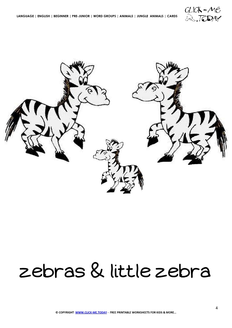 Jungle animal flashcard Zebras- Printable card of Zebras