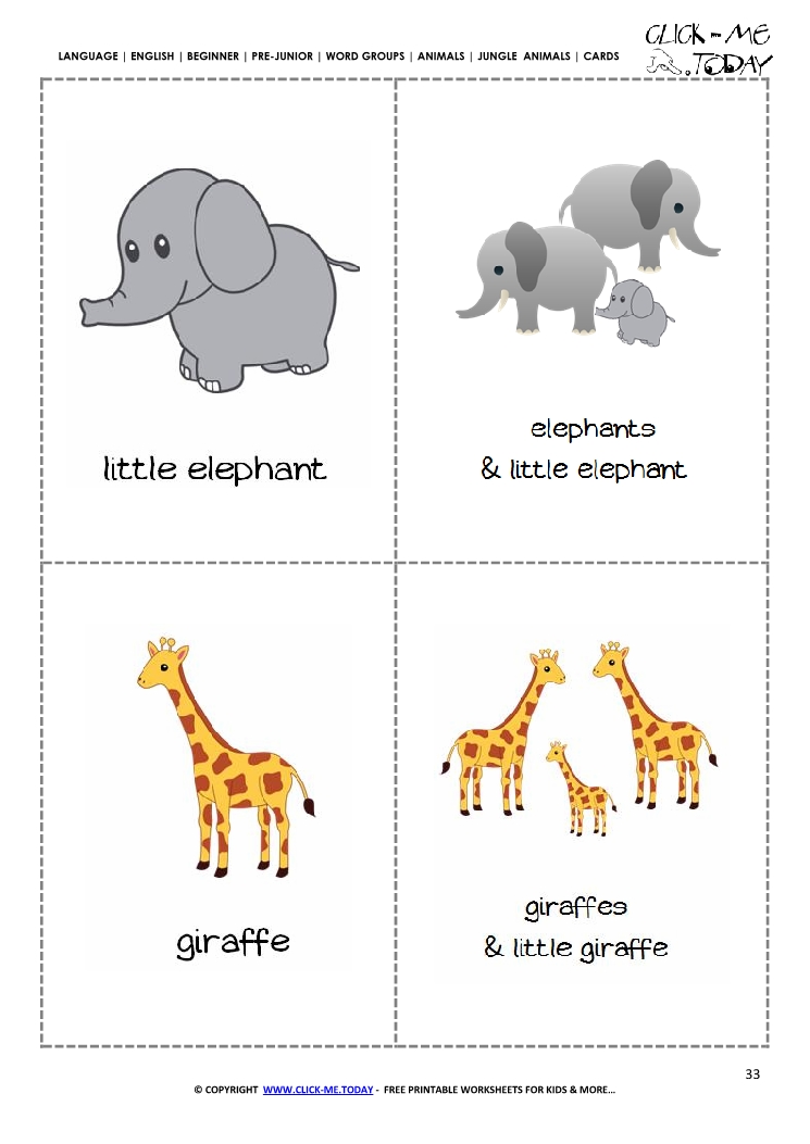 Jungle animals classroom cards - Elephants & Giraffes