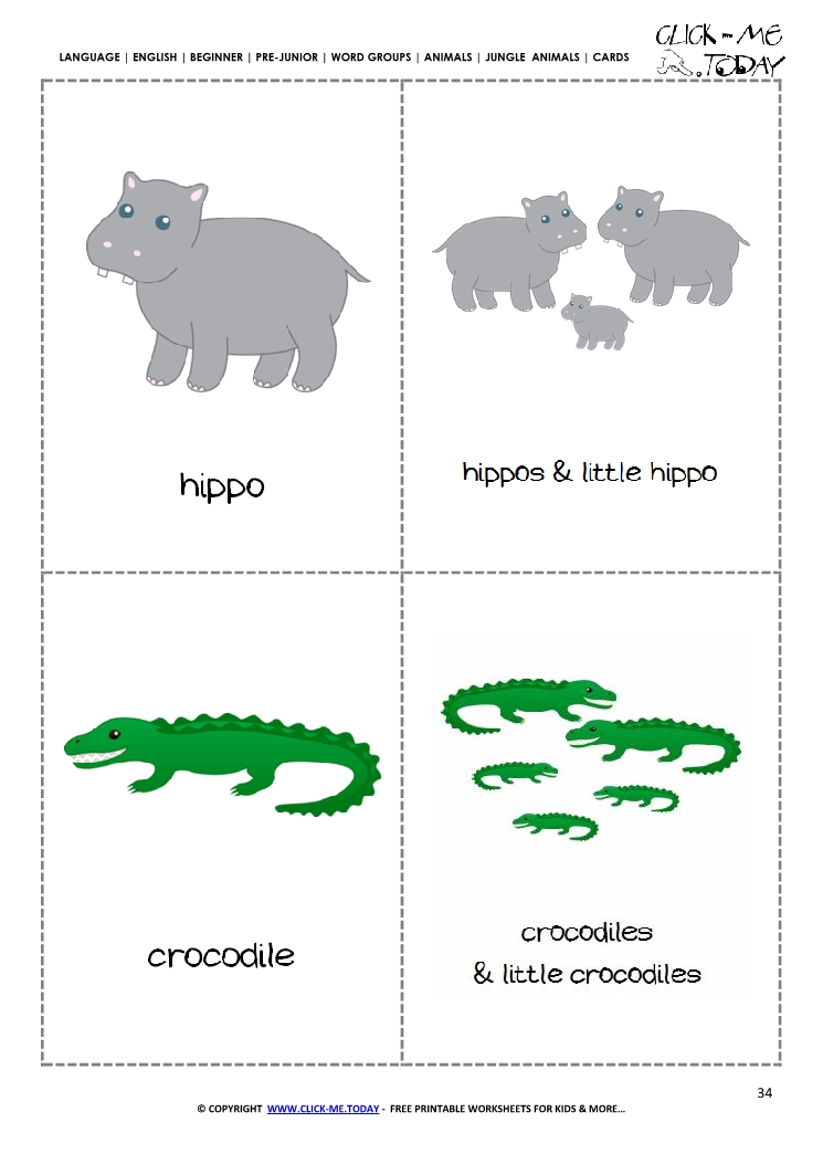 Jungle animals flashcards - Hippos & Crocodiles