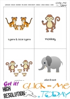 Jungle animals classroom cards - Tigers, monkeys & elephants