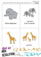 Jungle animals classroom cards - Elephants & Giraffes
