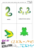 Jungle animals flashcards - Snakes & Frogs