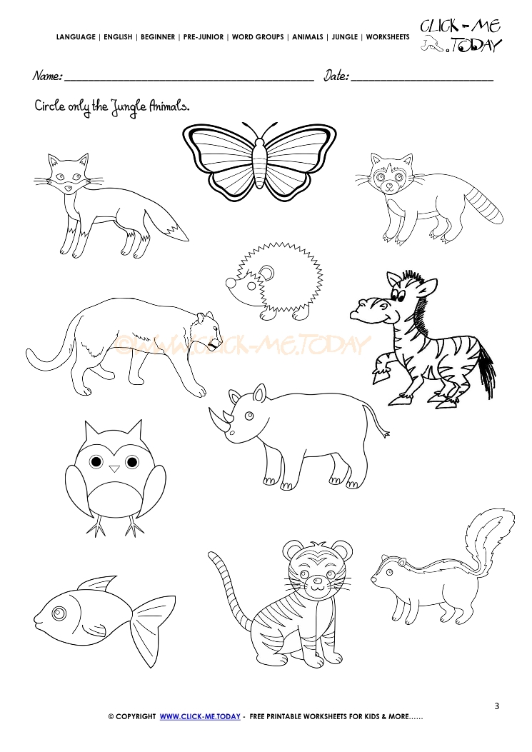 jungle-animals-worksheet-activity-sheet-match-7-jungle-animals