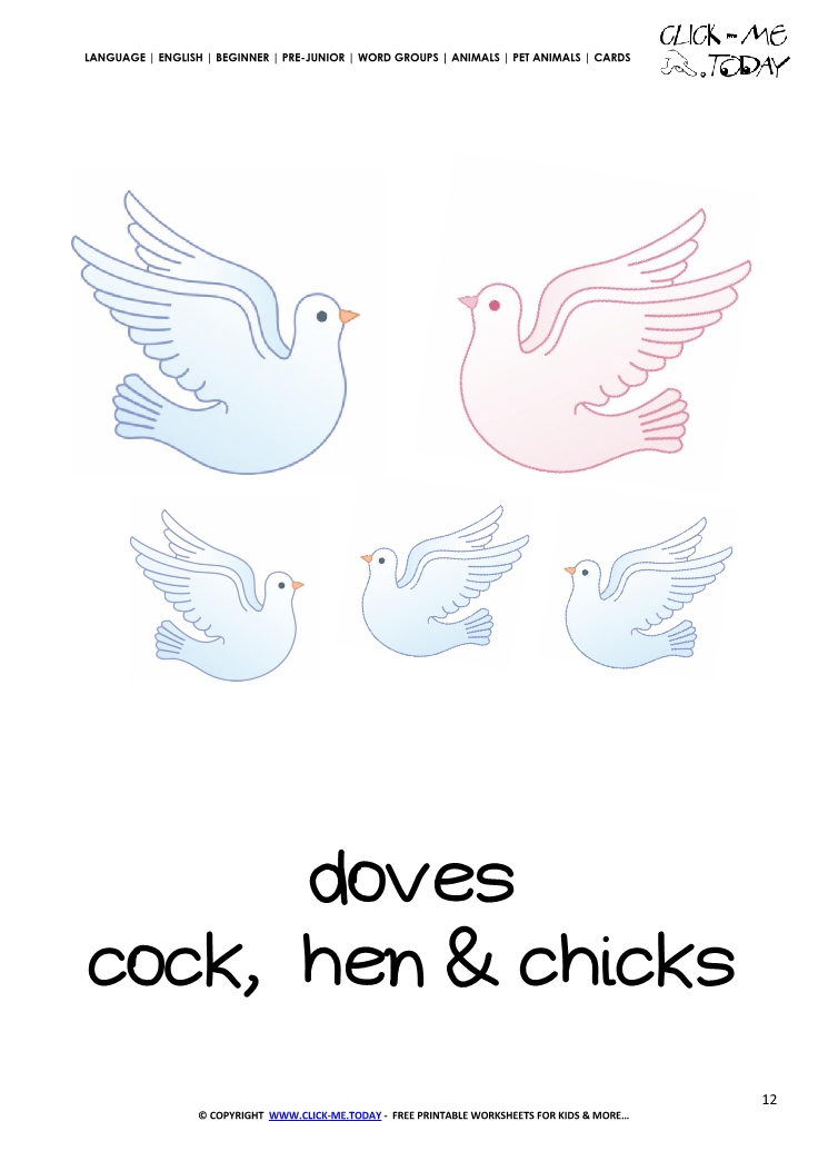 Printable Pet Animal Dove family wall card -  Doves flashcard