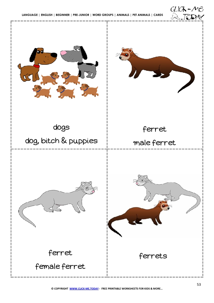 Printable Pet Animals flashcards Ferrets