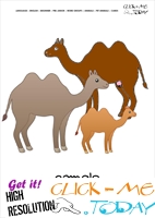 Printable Pet Animal Camels wall card - Camels flashcard