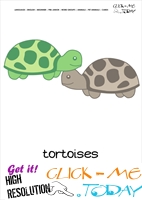 Printable Pet Animal Tortoises wall card - Tortoises flashcard
