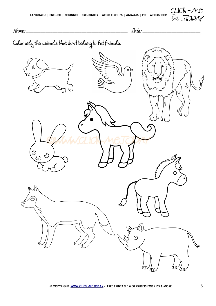 Pet Animals Worksheet - Activity Sheet 5