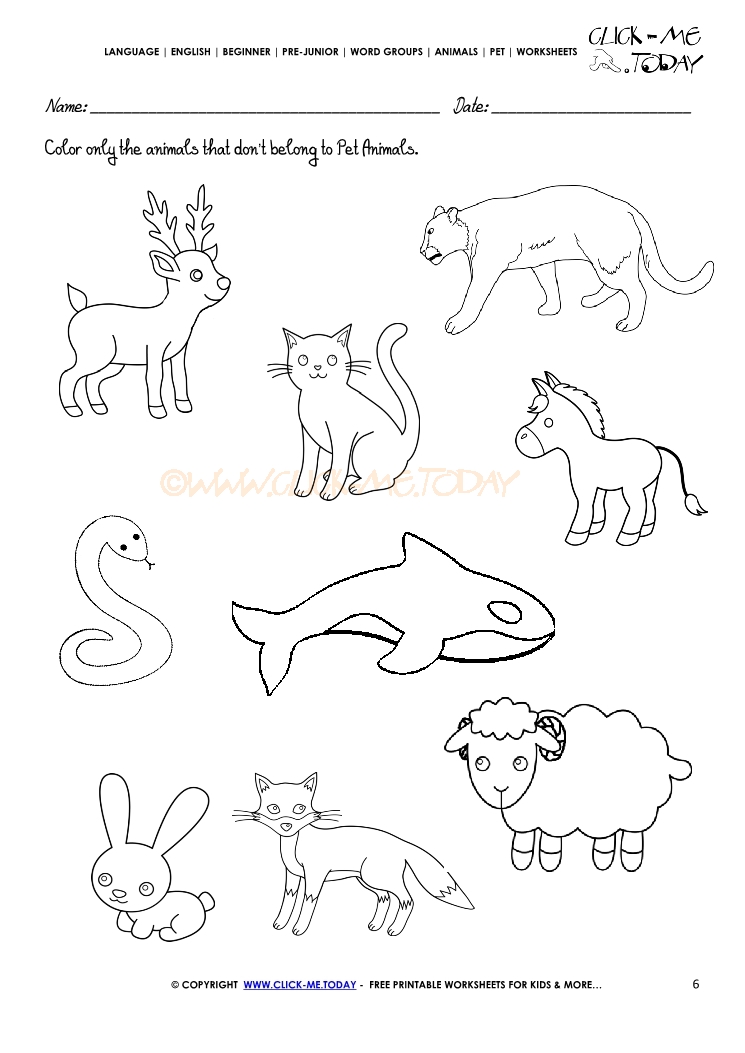 Pet Animals Worksheet - Activity Sheet 6