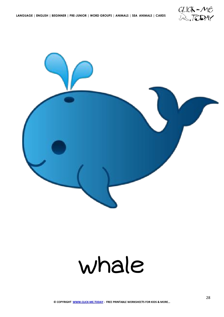 Sea animal flashcard Whale - Printable card of Whale