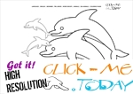 Coloring page Dolphins - Color picture of Dolphins
