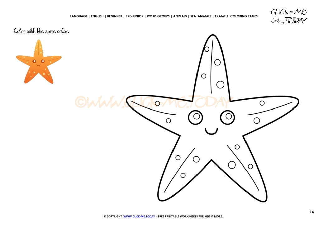 Example coloring page Starfish - Color picture of Starfish