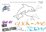 Example coloring page Dolphins - Color picture of Dolphins