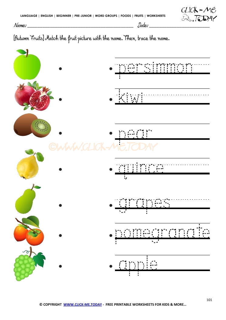 Fruits Worksheet 101 - Trace autumn fruits worksheet