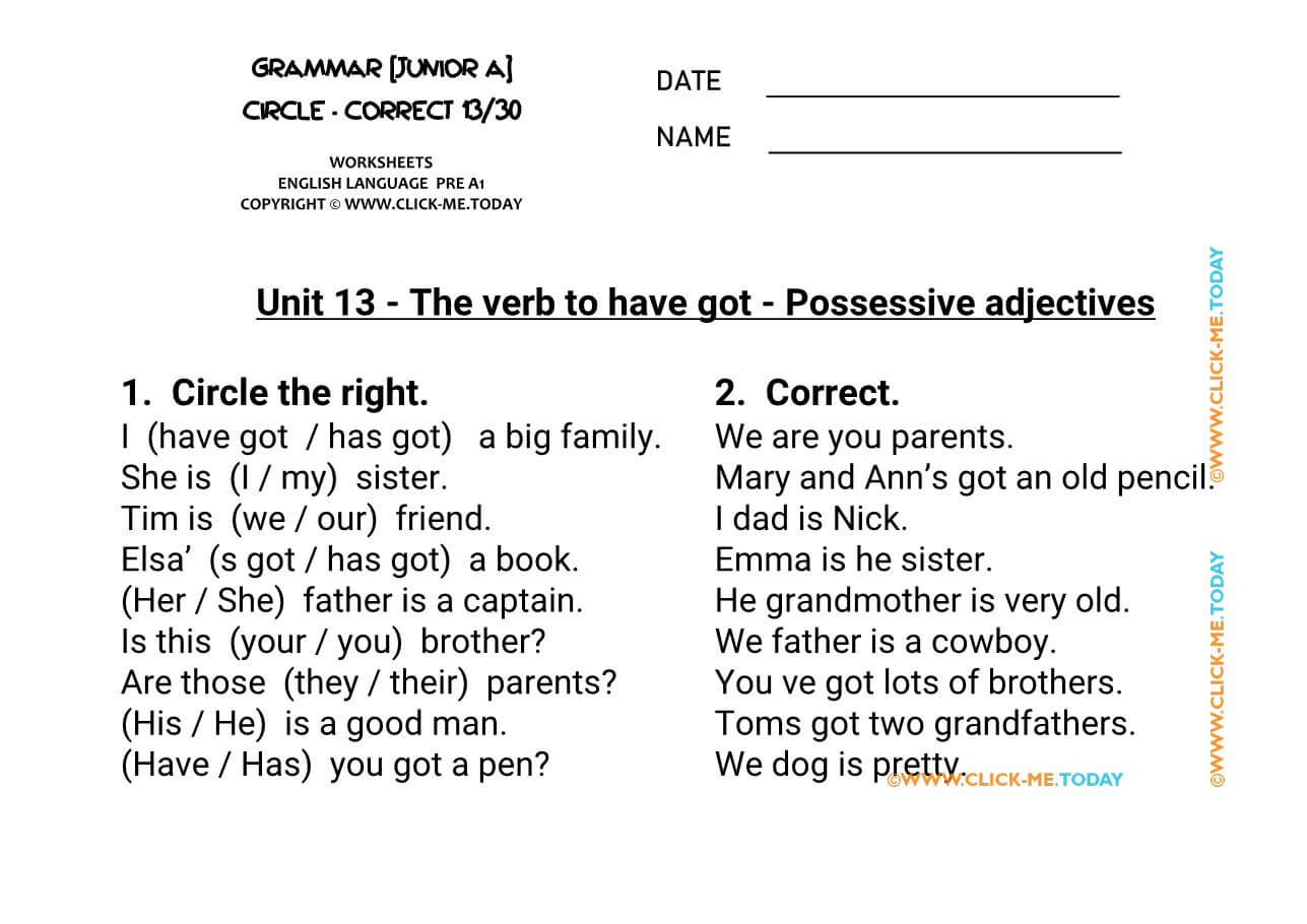 GRAMMAR EXERCISES CIRCLE-CORRECT  Possessive adjectives U13