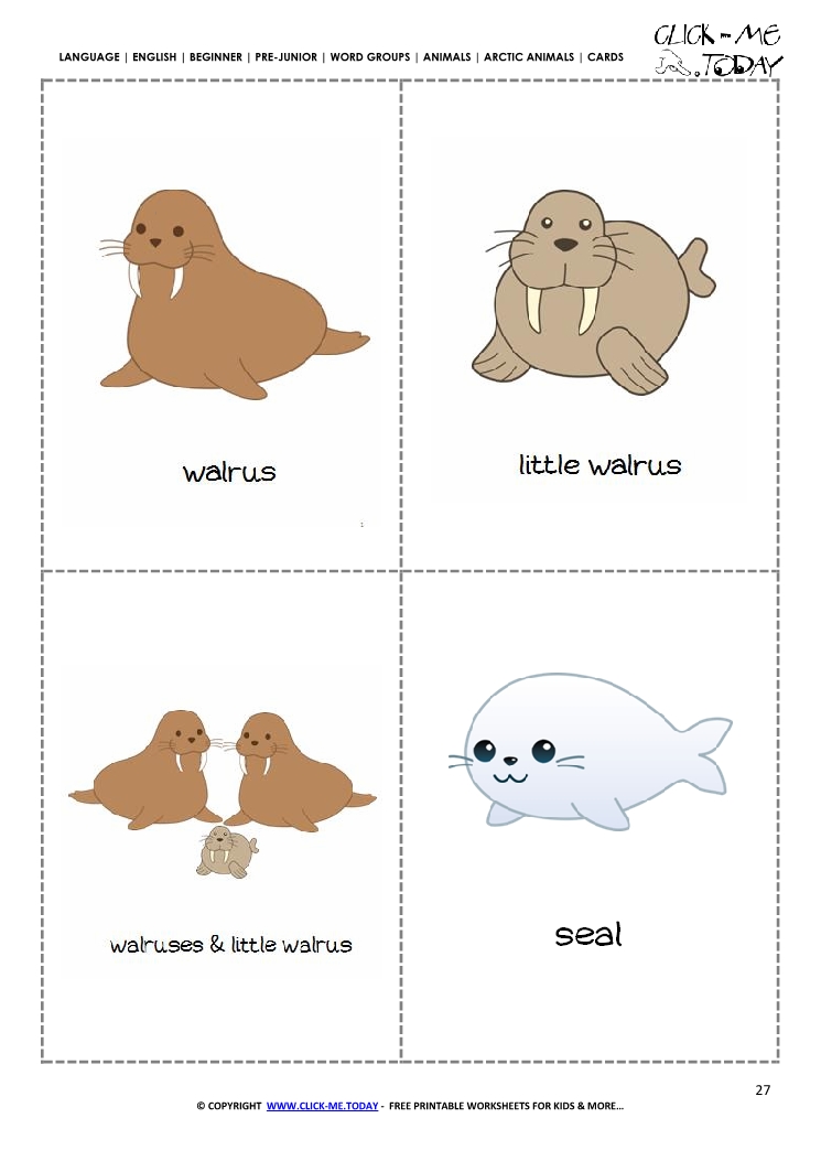 Free Printable Arctic Animals Classroom Cards