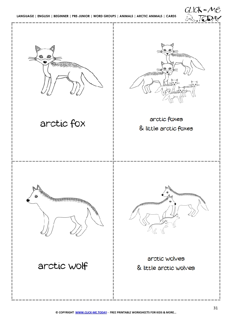 Free Printable Arctic Animals Pictures Fox, Wolf