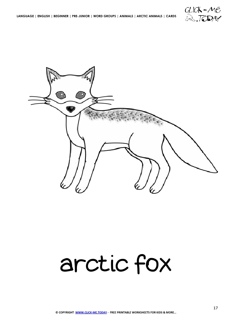 Printable Arctic Animal Arctic Fox wall card - Arctic Fox flashcard