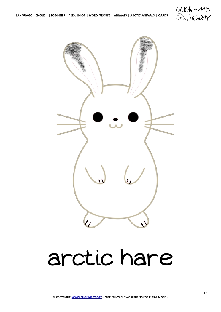 Printable Arctic Animal Arctic Hare wall card - Arctic Hare flashcard
