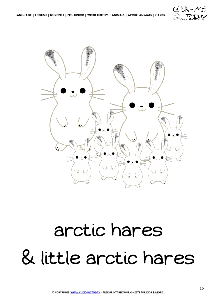 Printable Arctic Animal Arctic Hares wall card - Arctic Hares flashcard
