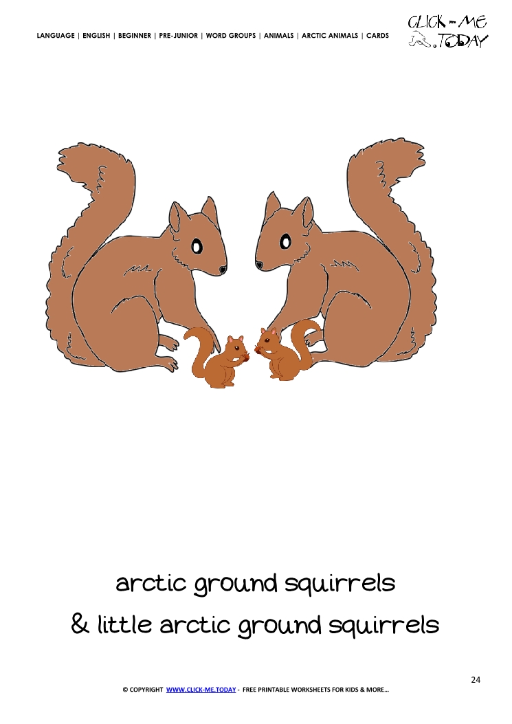 Printable Arctic Animal Ground Squirrels wall card - Ground Squirrels flashcard