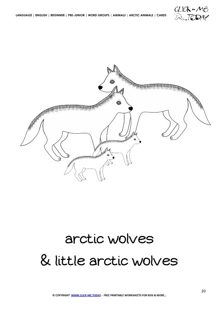 Printable Arctic Animal Arctic Wolves wall card - Arctic Wolves flashcard