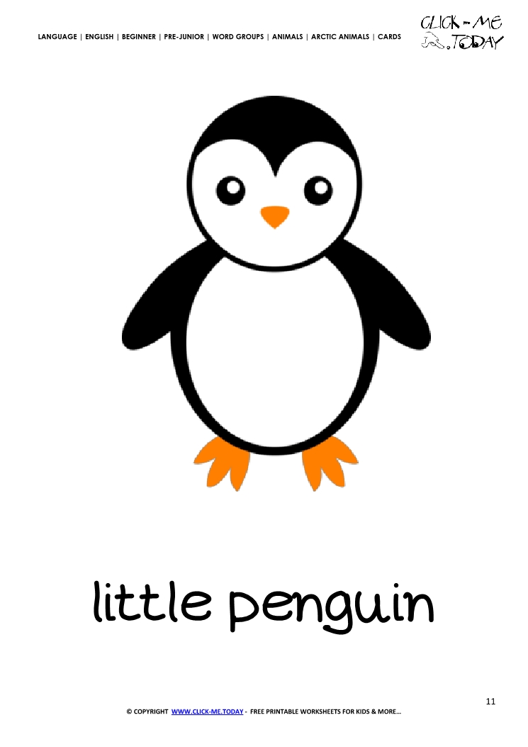 Printable Arctic Animal Little Penguin wall card - Penguin flashcard