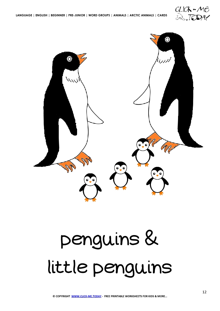 Printable Arctic Animal Penguins wall card - Penguins flashcard