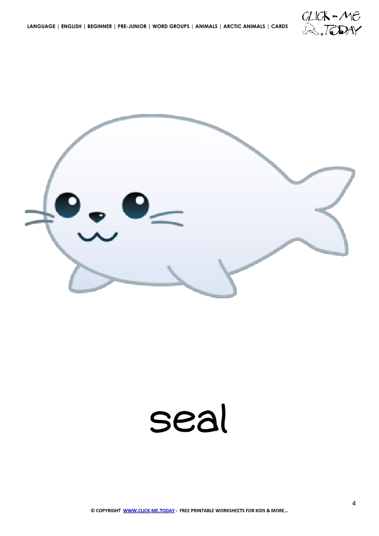 Printable Arctic Animal Seal wall card - Seal flashcard