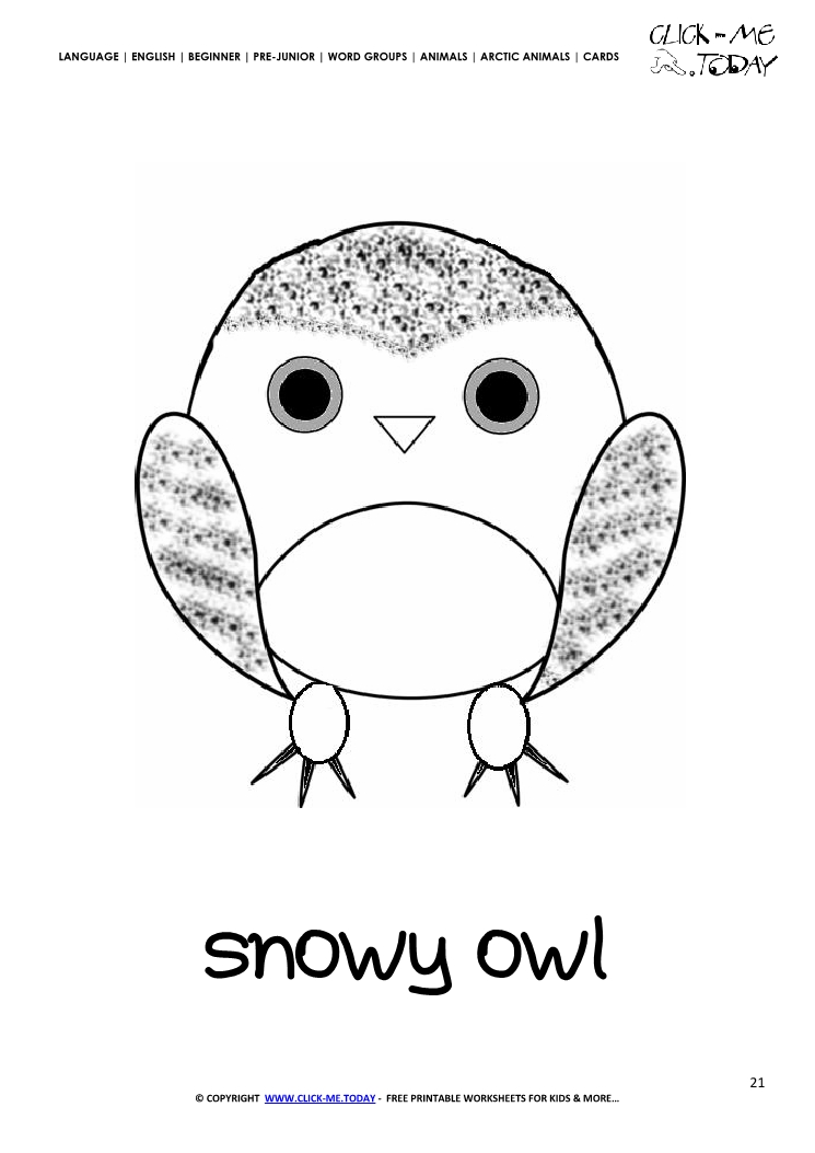 Printable Arctic Animal Snowy Owl wall card - Snowy Owl flashcard