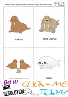 Free Printable Arctic Animals Classroom Cards