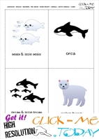 Free Printable Arctic Animals Classroom Cards Seal, Orca & Bear