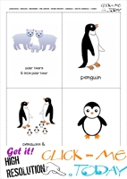 Free Printable Arctic Animals Flashcards Polar Bear, Penguin