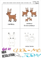 Free Printable Arctic Animals Flashcards Caribou, Hare