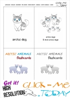 Free Printable Arctic Animals Wall Cards Arctic Dogs